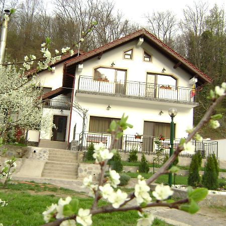 Pension Casa Natura 바일레헤르쿨라네 외부 사진