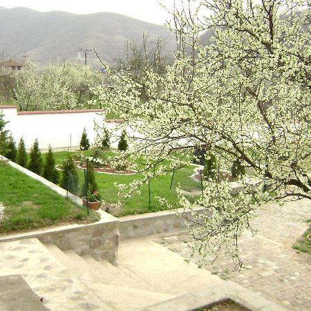 Pension Casa Natura 바일레헤르쿨라네 외부 사진