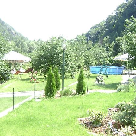 Pension Casa Natura 바일레헤르쿨라네 외부 사진