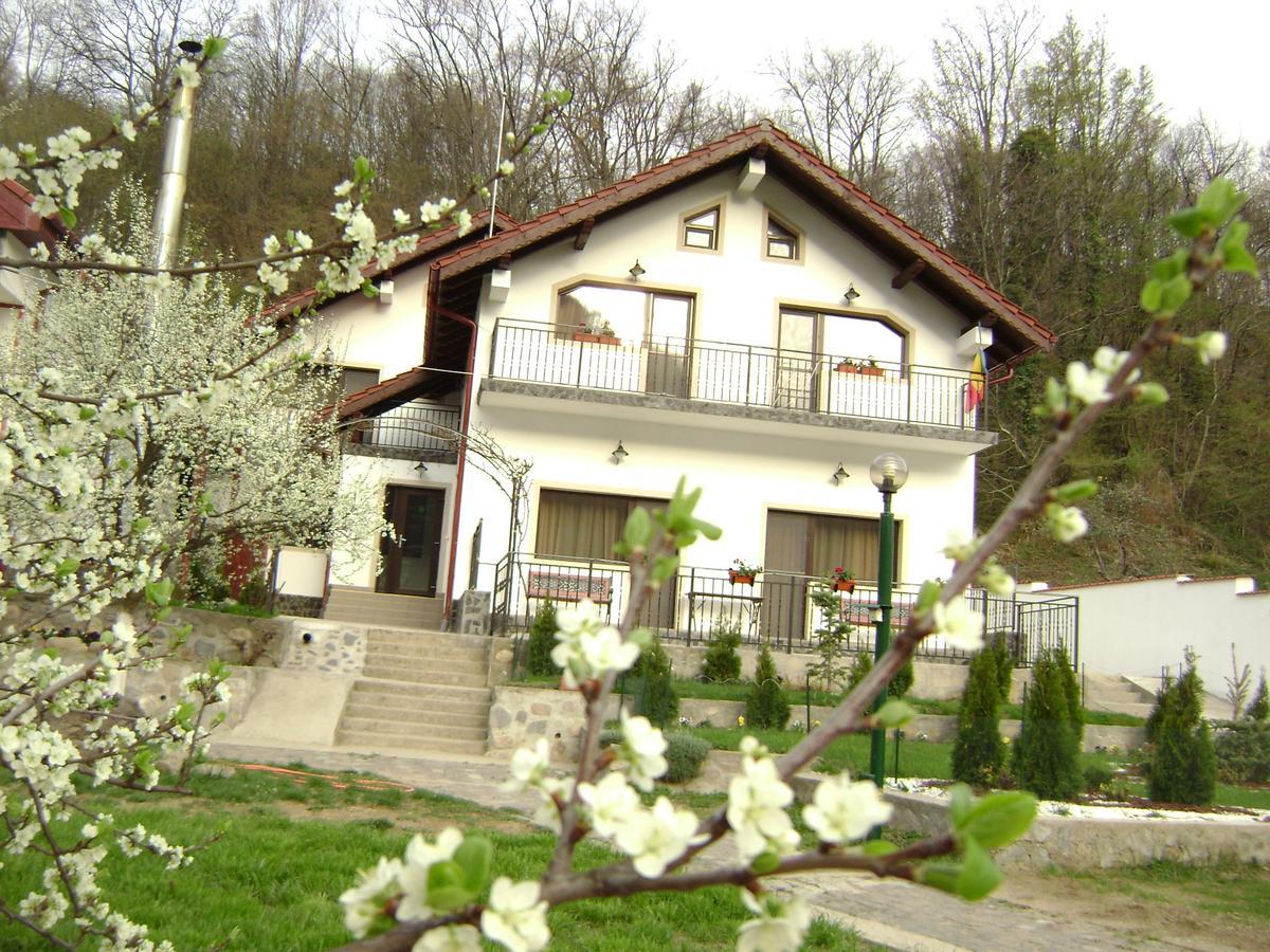 Pension Casa Natura 바일레헤르쿨라네 외부 사진