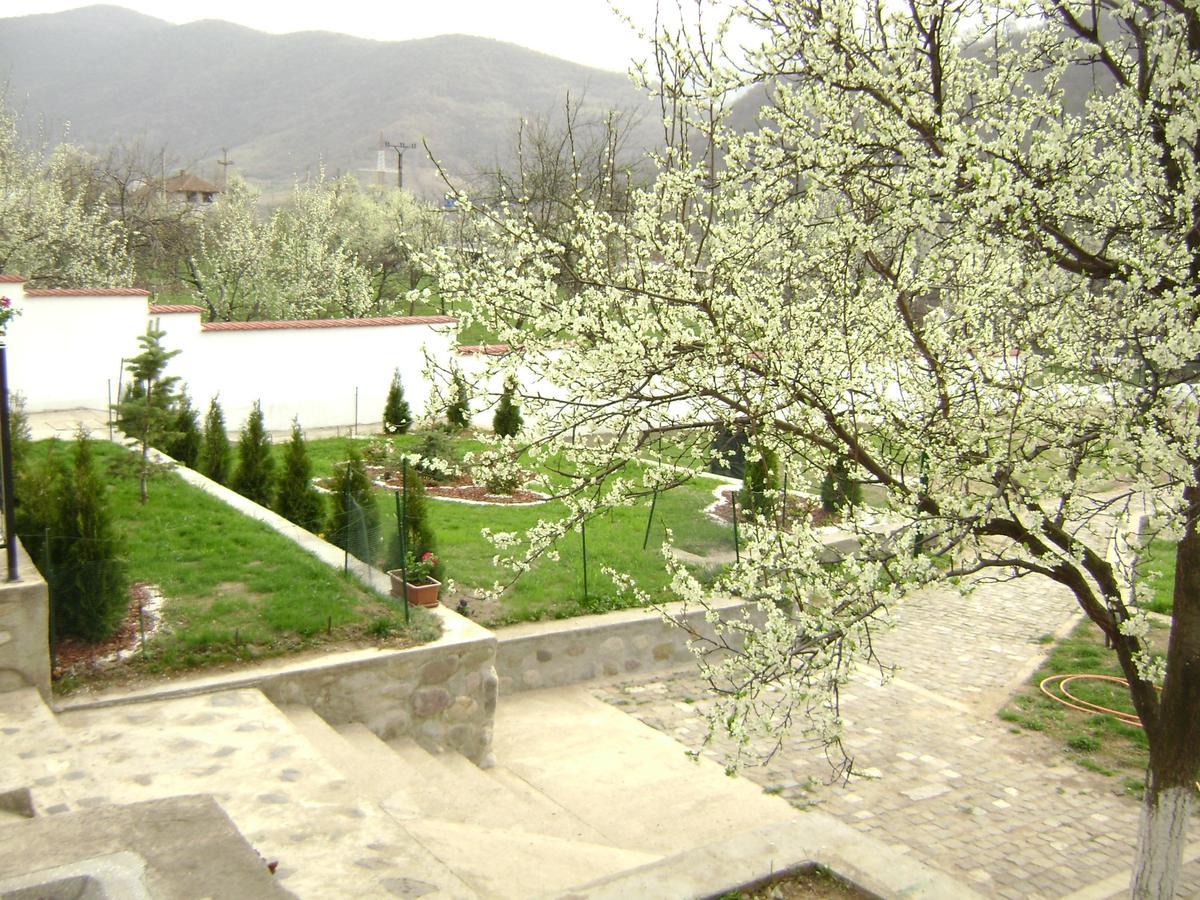 Pension Casa Natura 바일레헤르쿨라네 외부 사진