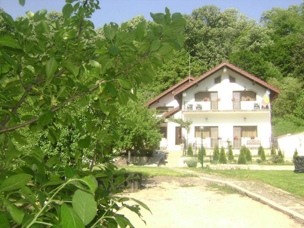 Pension Casa Natura 바일레헤르쿨라네 외부 사진