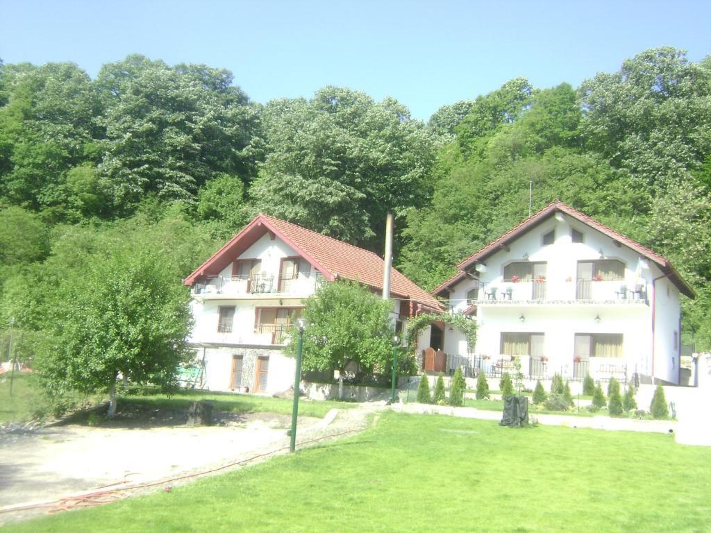 Pension Casa Natura 바일레헤르쿨라네 외부 사진
