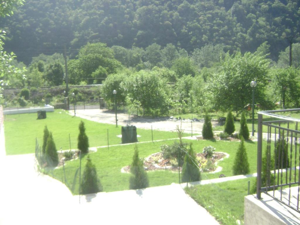 Pension Casa Natura 바일레헤르쿨라네 외부 사진