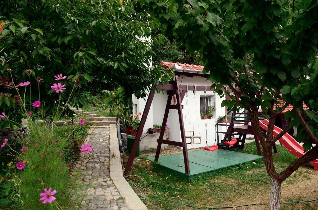 Pension Casa Natura 바일레헤르쿨라네 외부 사진