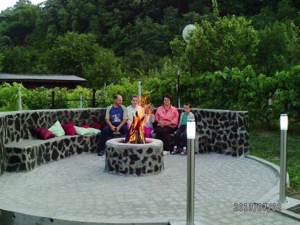 Pension Casa Natura 바일레헤르쿨라네 외부 사진