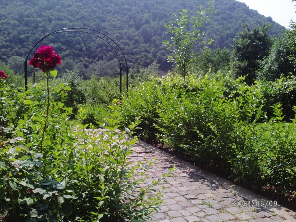 Pension Casa Natura 바일레헤르쿨라네 외부 사진