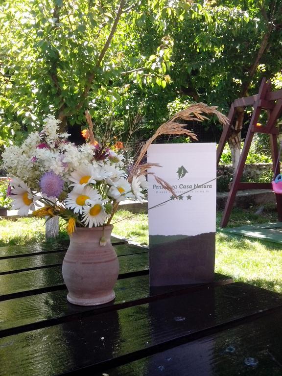 Pension Casa Natura 바일레헤르쿨라네 외부 사진