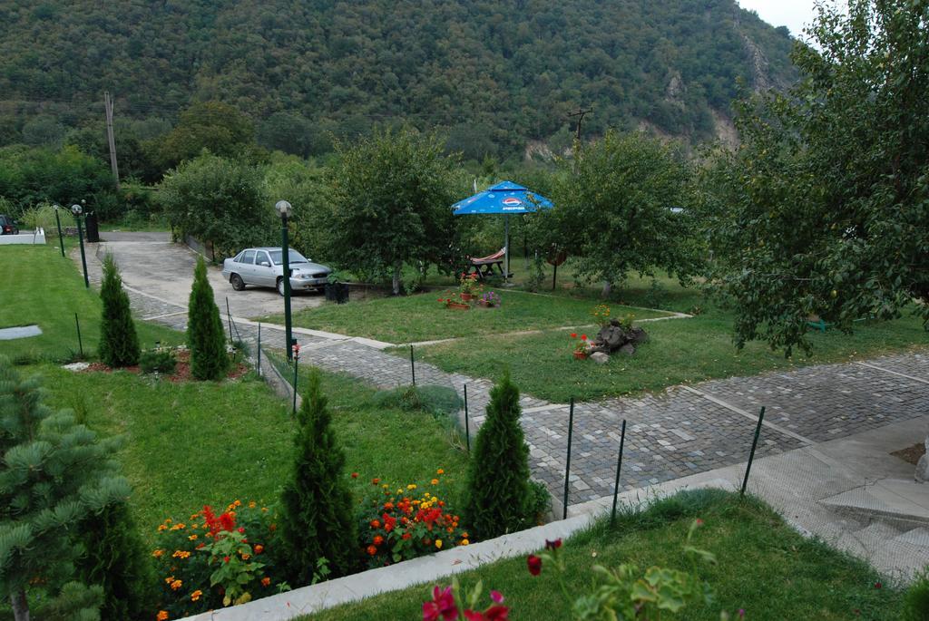 Pension Casa Natura 바일레헤르쿨라네 외부 사진