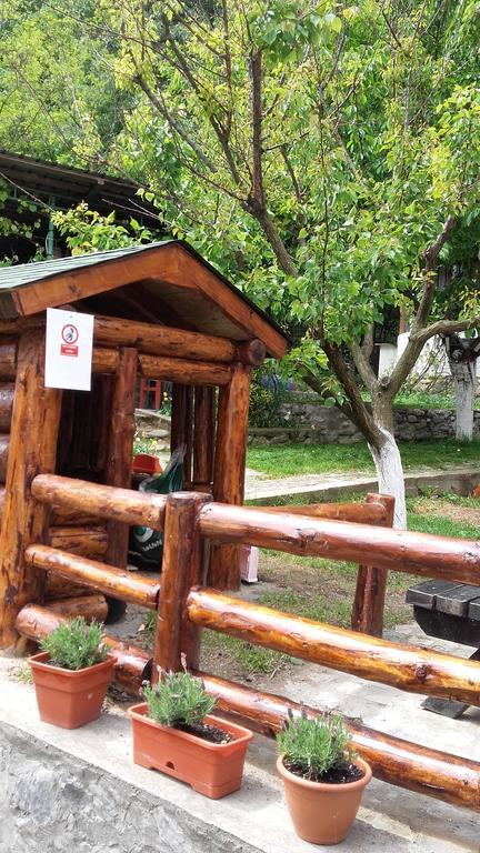 Pension Casa Natura 바일레헤르쿨라네 외부 사진
