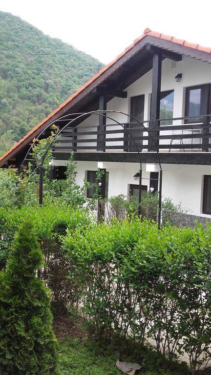 Pension Casa Natura 바일레헤르쿨라네 외부 사진