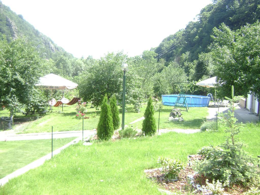 Pension Casa Natura 바일레헤르쿨라네 외부 사진