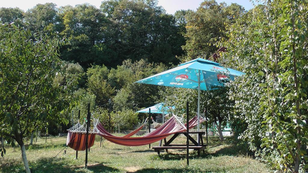 Pension Casa Natura 바일레헤르쿨라네 외부 사진