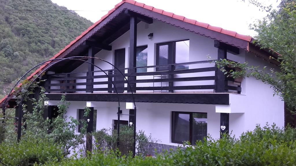 Pension Casa Natura 바일레헤르쿨라네 외부 사진